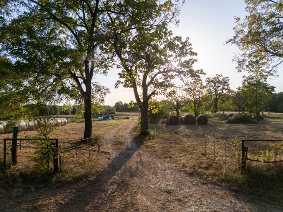 Dji 20260817191327 0252 D