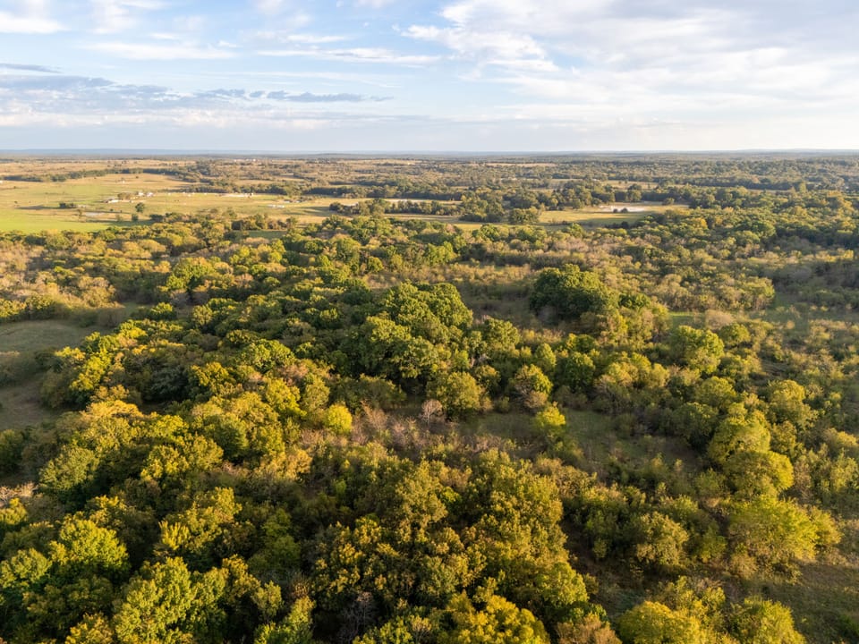 Dji 20261020180748 0583 D