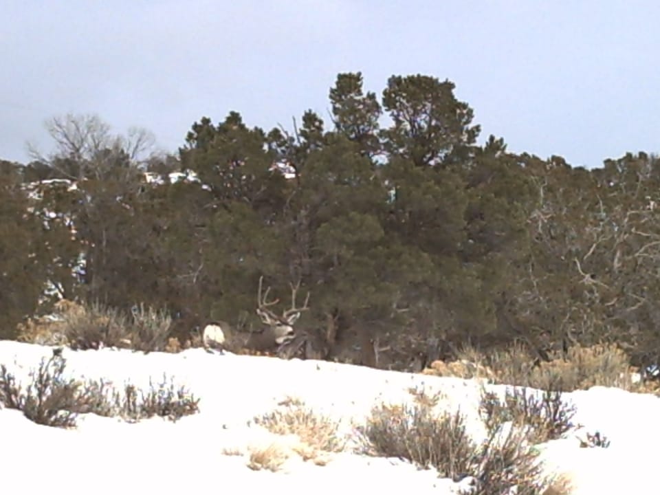 Pict0018