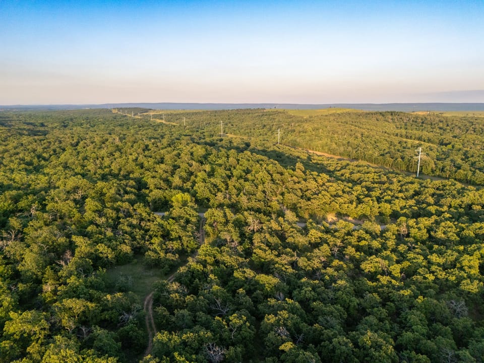 Dji 20260513194856 0423 D