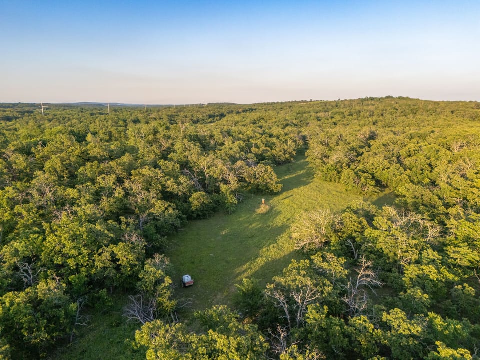 Dji 20260513194243 0411 D