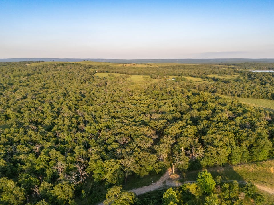 Dji 20260513194220 0410 D