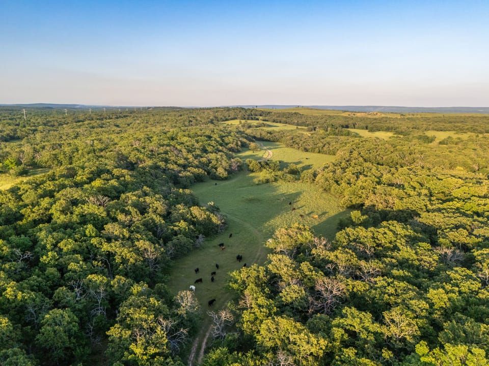 Dji 20260513194044 0406 D