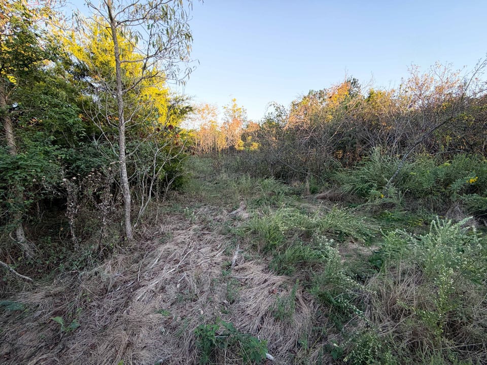 Temp52