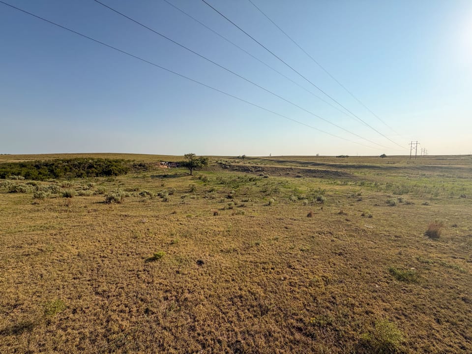 Img 7439