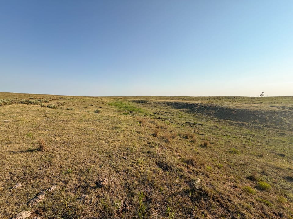 Img 7465