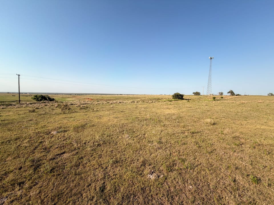 Img 7436