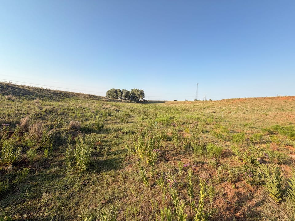 Img 7471