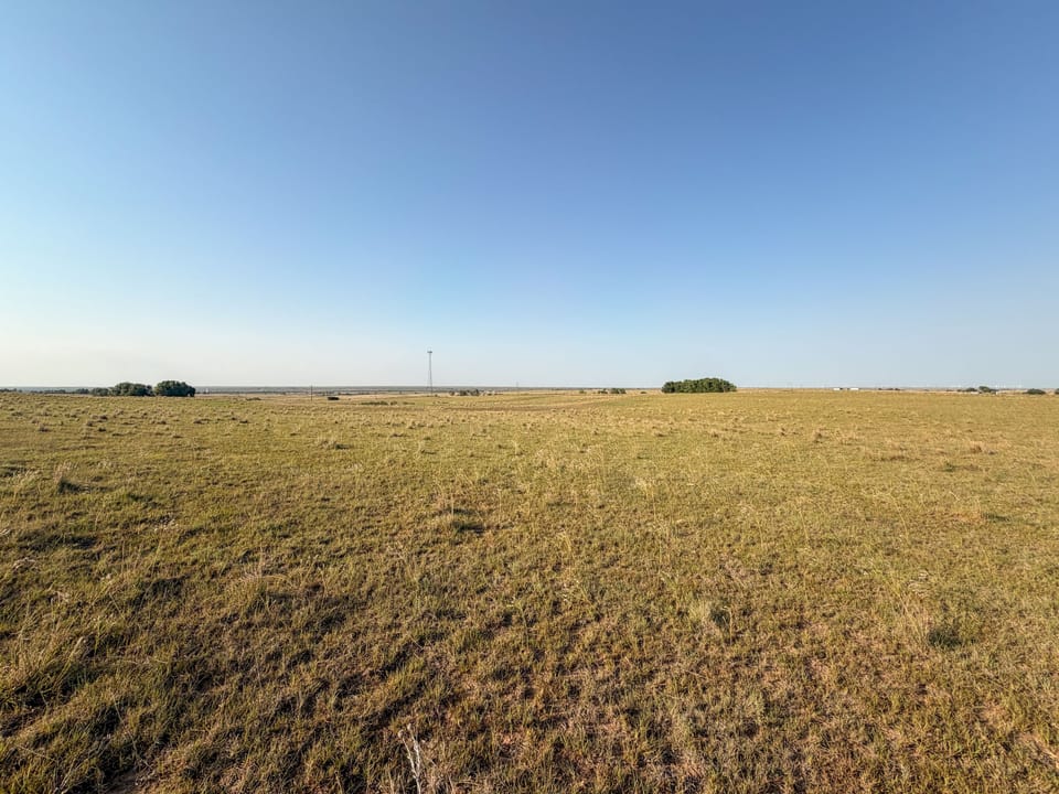 Img 7453
