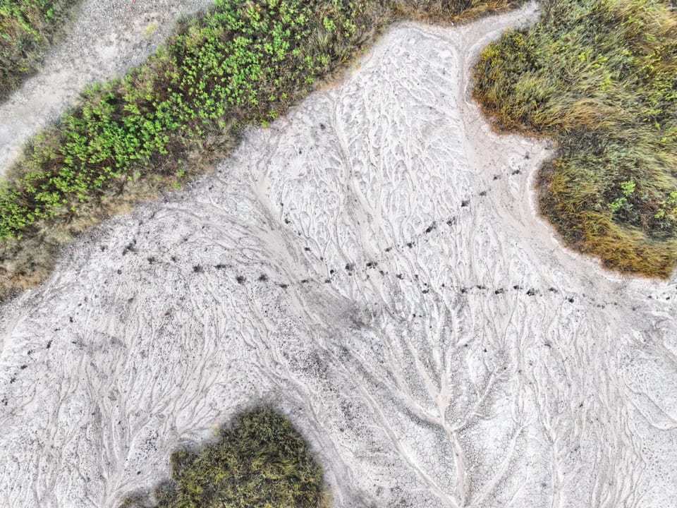Dji 0460