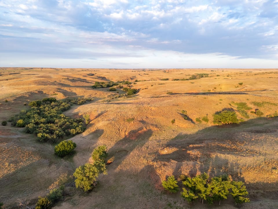 Dji 20260515195825 0048 D