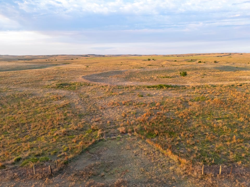 Dji 20260515070154 0507 D