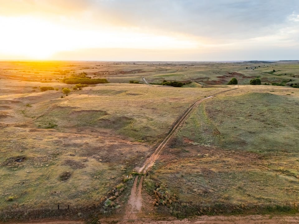 Dji 20260515065415 0485 D