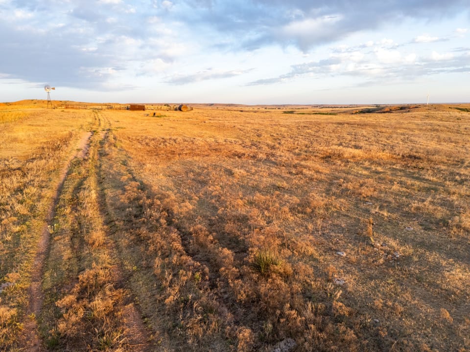 Dji 20260515070325 0508 D