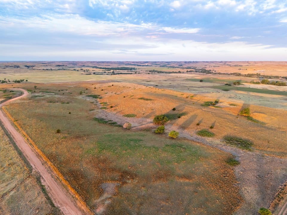 Dji 20260515065340 0483 D