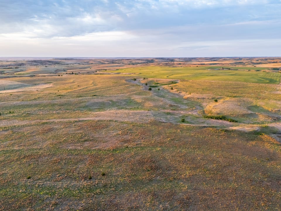 Dji 20260515065746 0496 D