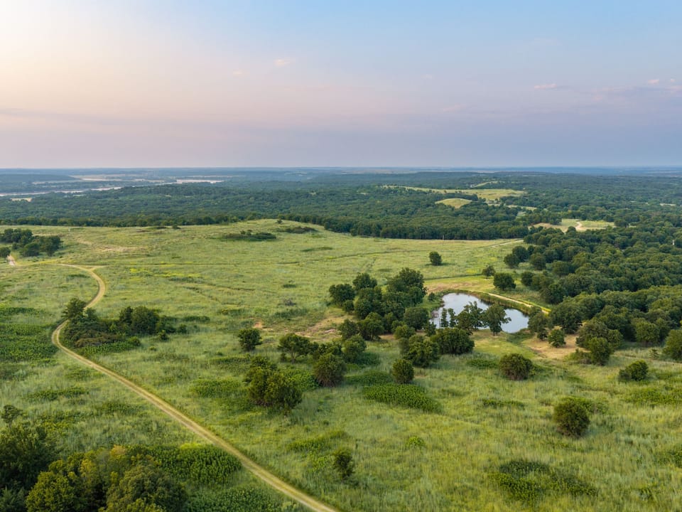 Dji 20260804201341 0146 D