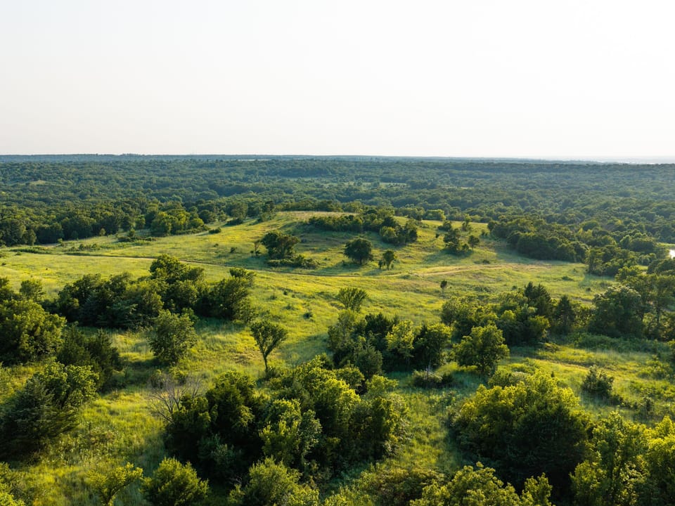Dji 20260804191753 0032 D
