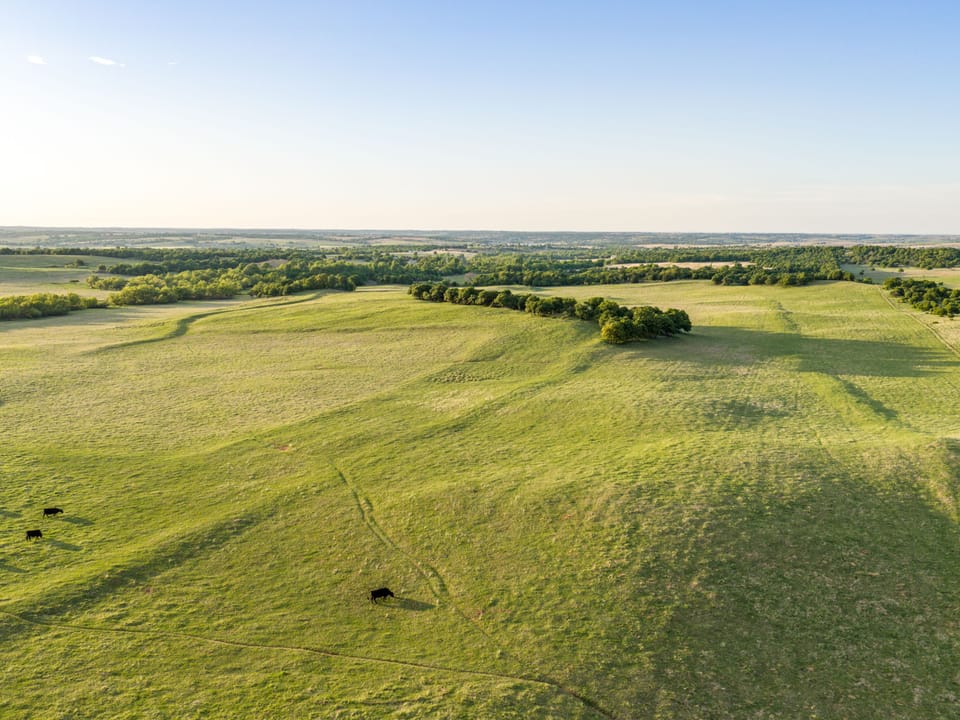Dji 20260420193640 0071 D