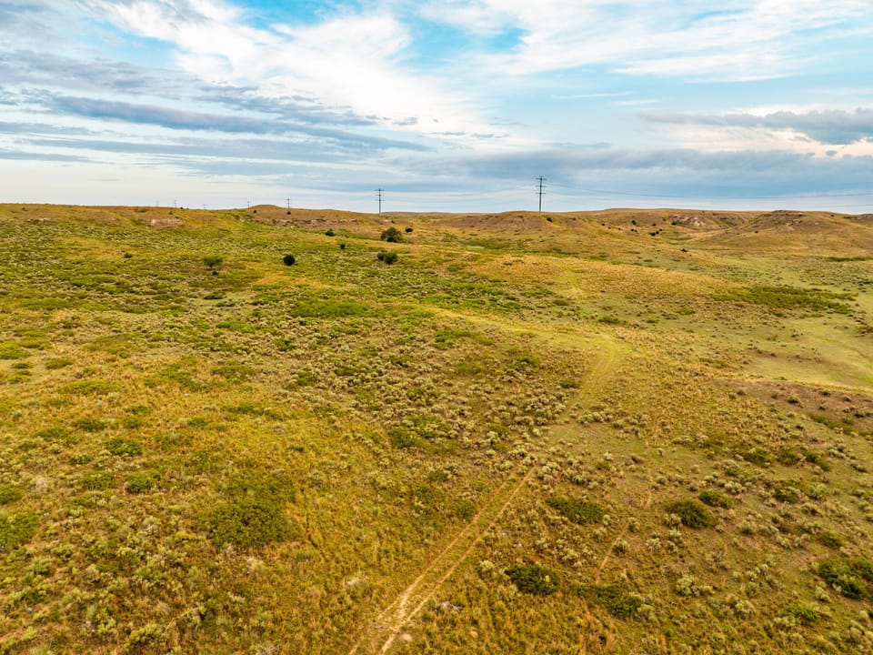 Dji 0282