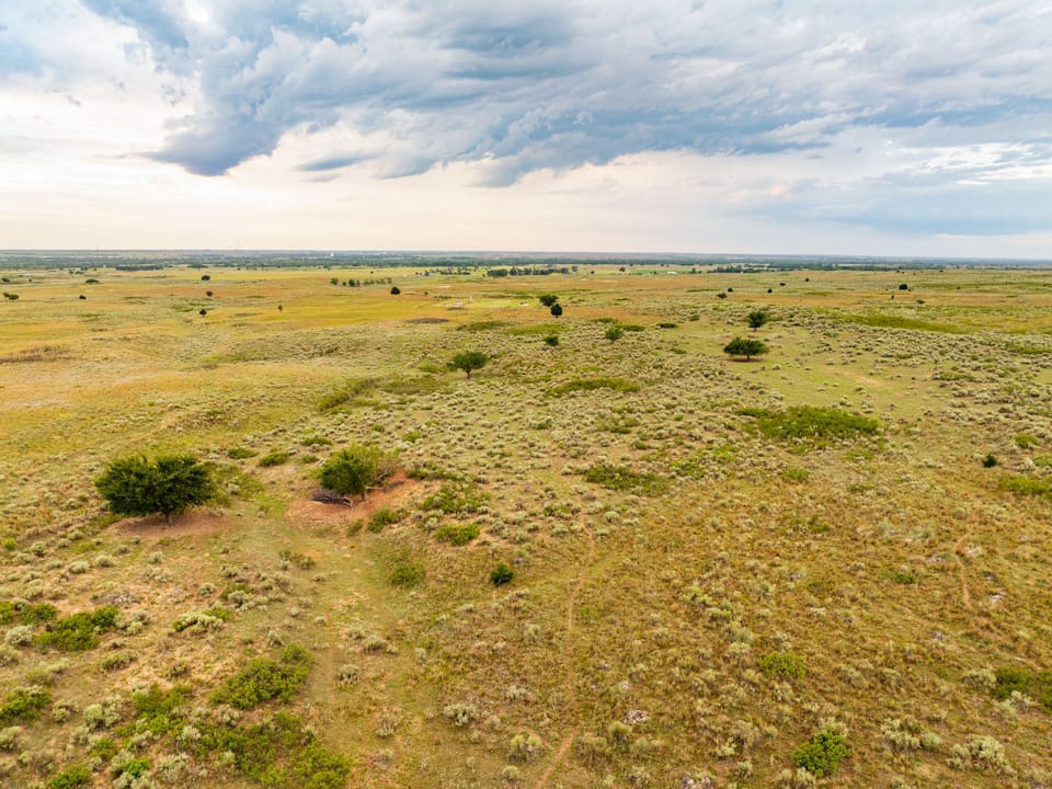 Dji 0263
