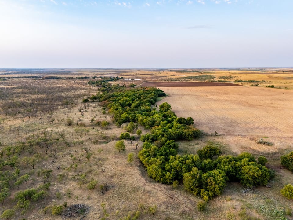 Dji 20260805201954 0114 D