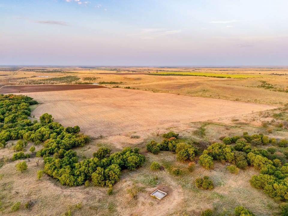 Dji 20260805201946 0113 D