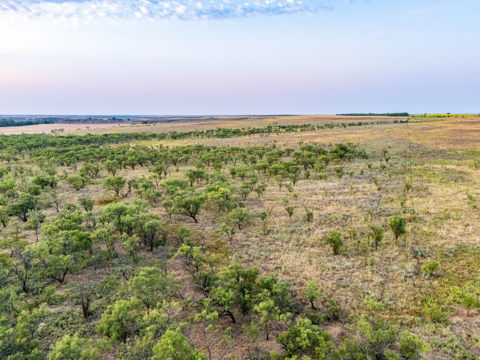 Dji 20260805200916 0091 D