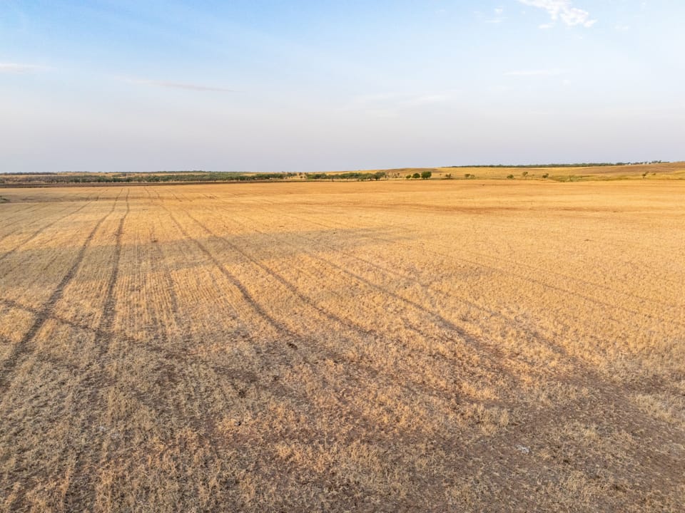Dji 20260805202957 0140 D