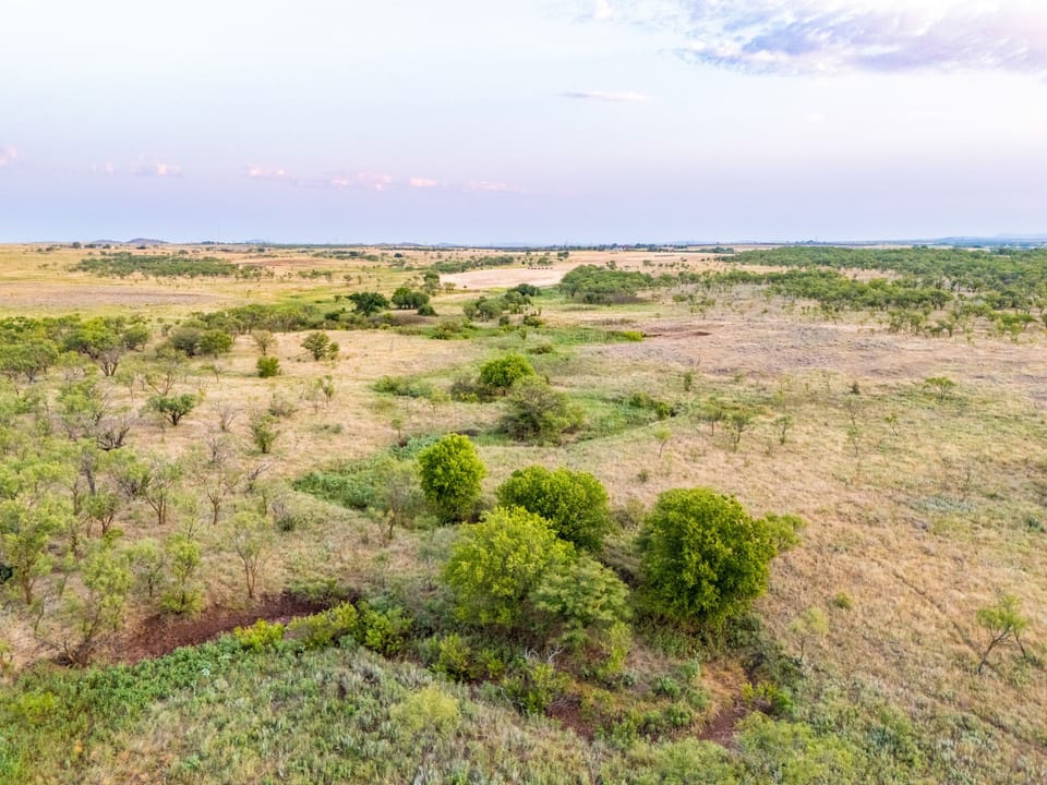 Dji 20260805200553 0083 D