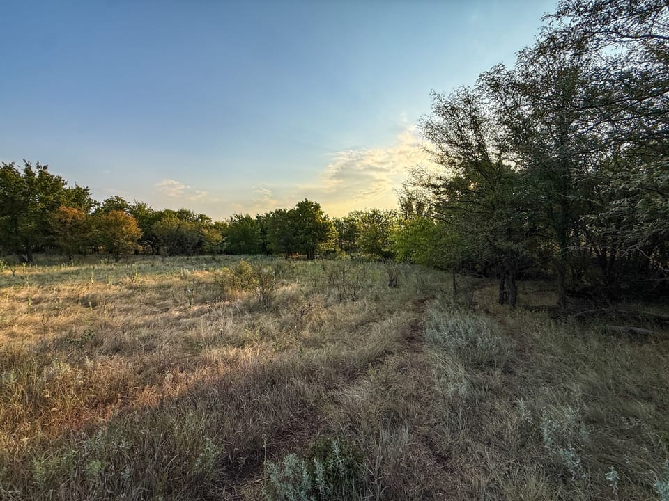 Img 8293