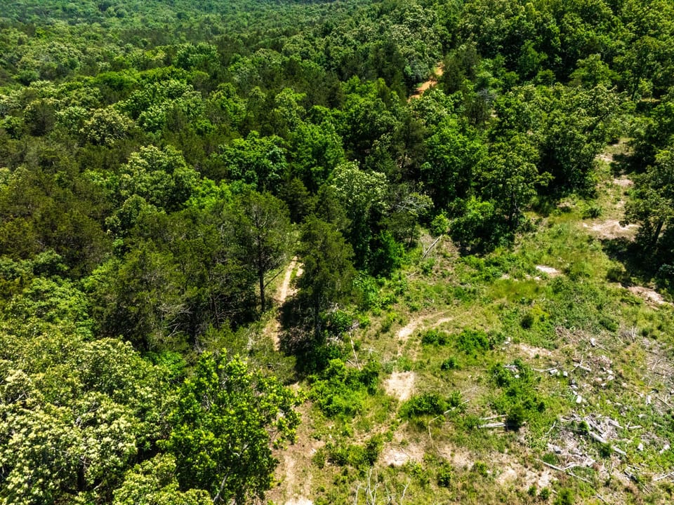 Dji 0564
