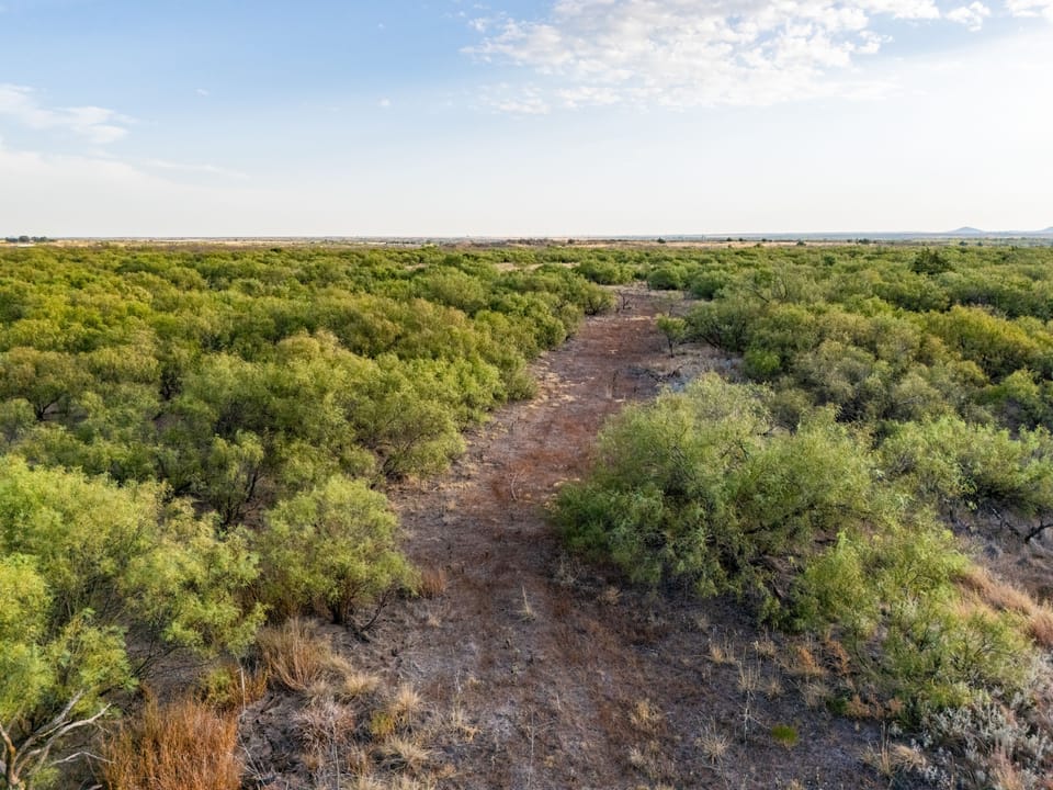 Dji 20260916212806 0170 D