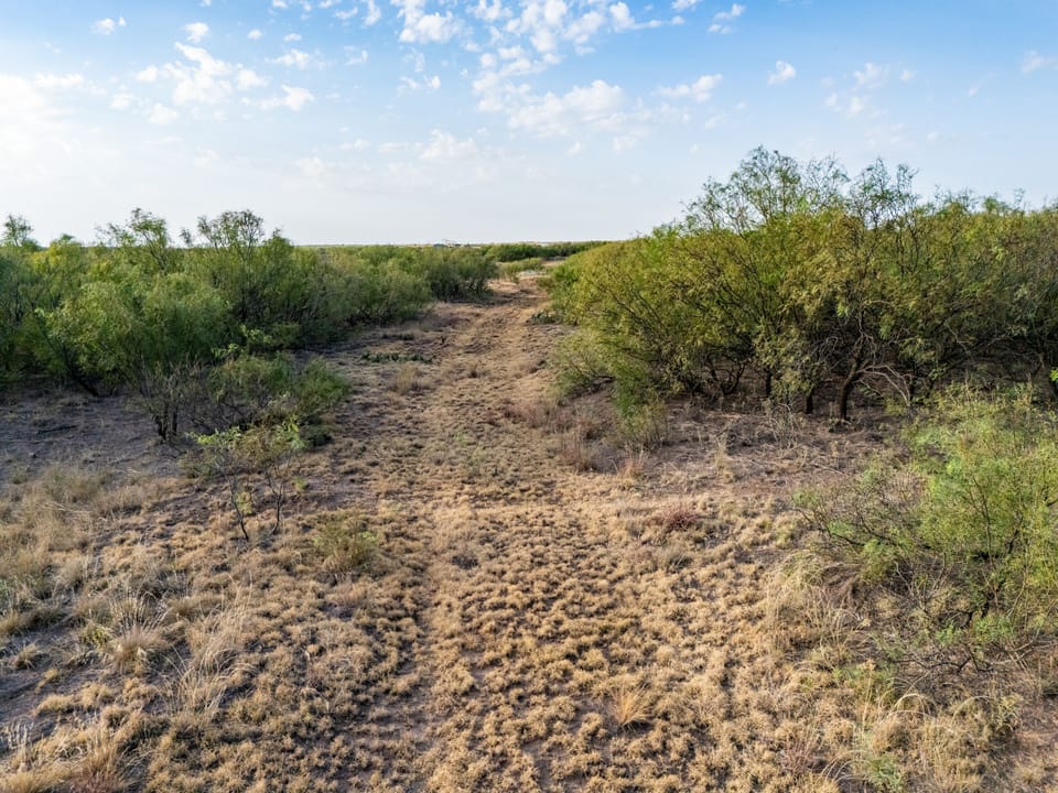 Dji 20260916213051 0174 D