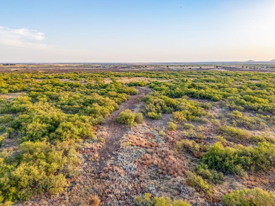 Dji 20260916205215 0117 D