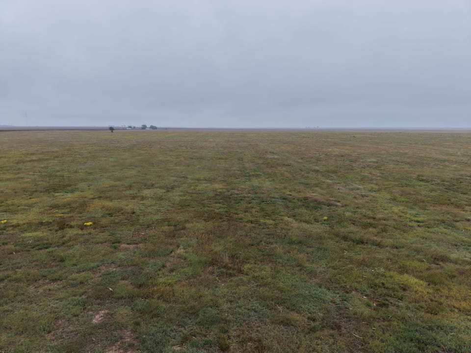 Dji 20261014231243 0002 D Jpg