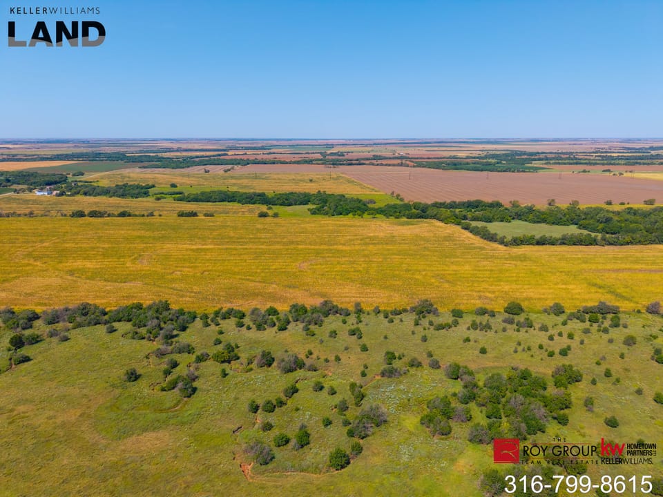 Dji 20260811114556 0810 D