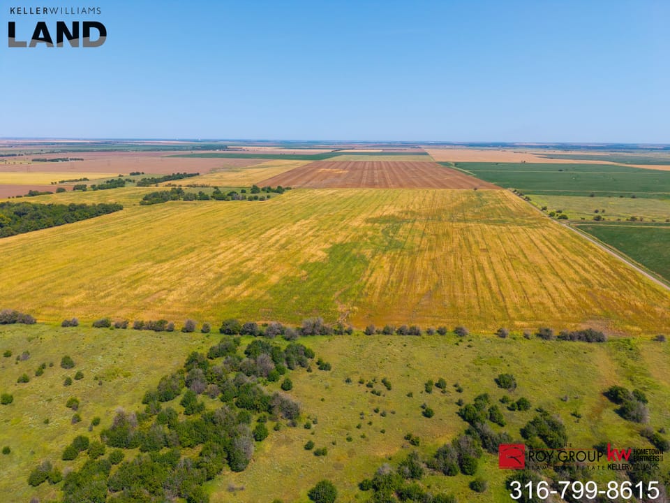 Dji 20260811114549 0809 D