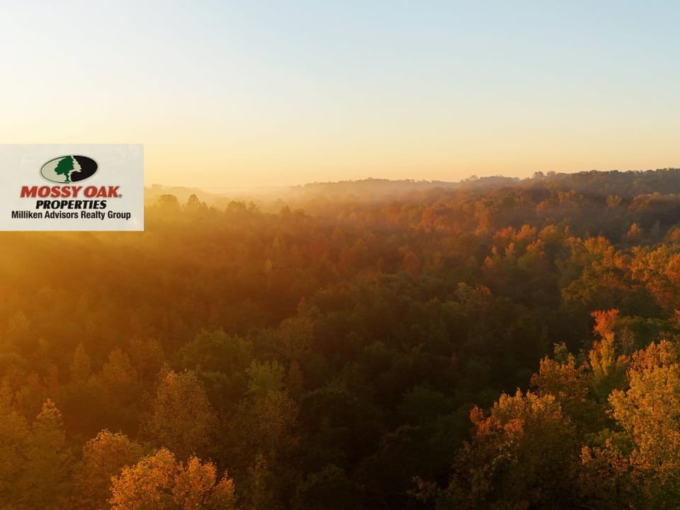 Dji 0082 Milliken Watermark Cropped 2 