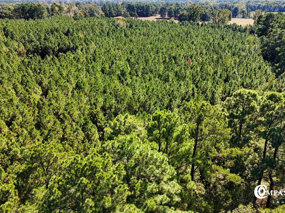 Columbus Ridge Tract Csls 0396 Jpg