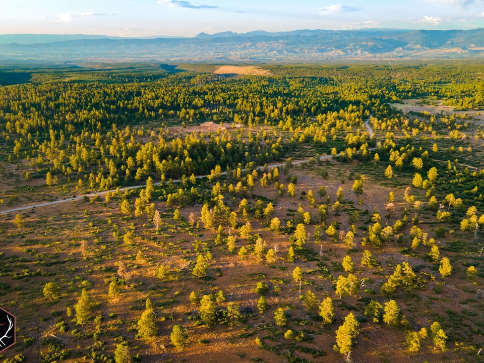Dji 0927 East Delores Creek Ranch Lr Wm